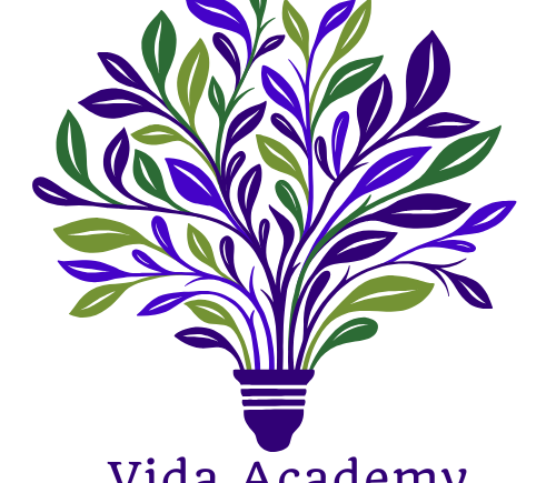 Vida Academy 